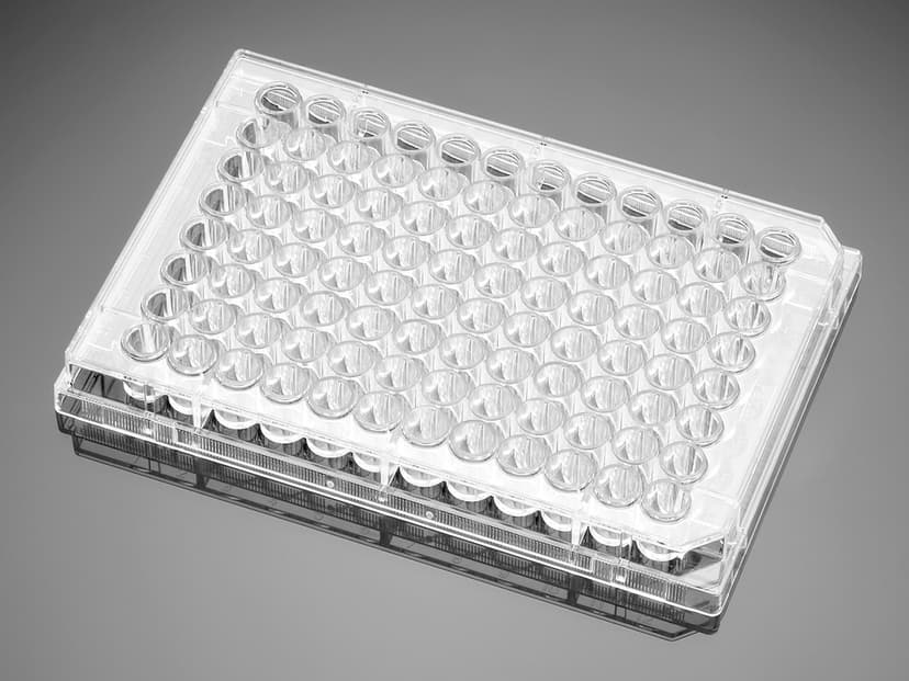 Corning BioCoat Poly-D-Lysine 96 Well Clear Flat Bottom TC-Treated Microplate, with Lid, 5/Pack, 50/Case