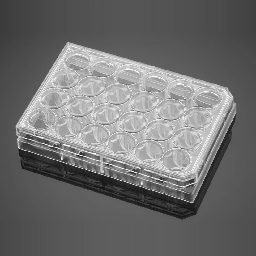 Corning BioCoat Poly-D-Lysine 24 Well Clear Flat Bottom TC-Treated Multiwell Plate, with Lid, 5/Case