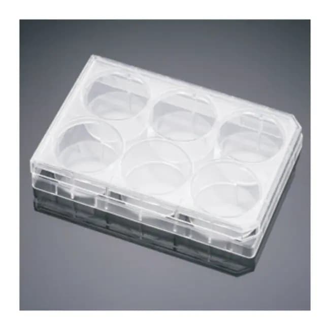 Corning BioCoat Matrigel 6 Well Plate for ES Culture, 5/Case