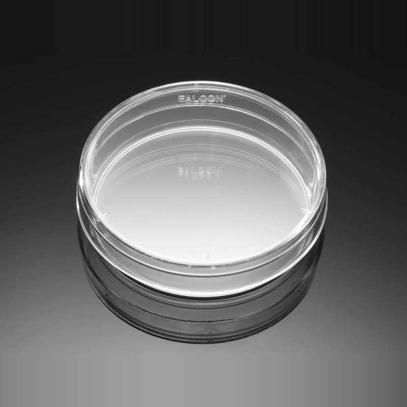 Corning BioCoat Poly-L-Lysine 60mm Culture Dishes, 20/Pack, 20/Case