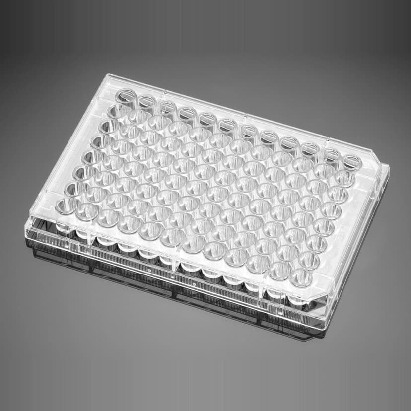 Corning BioCoat Matrigel Matrix Thin-Layer Clear Flat Bottom Multiwell Assay Plate, 5/Case