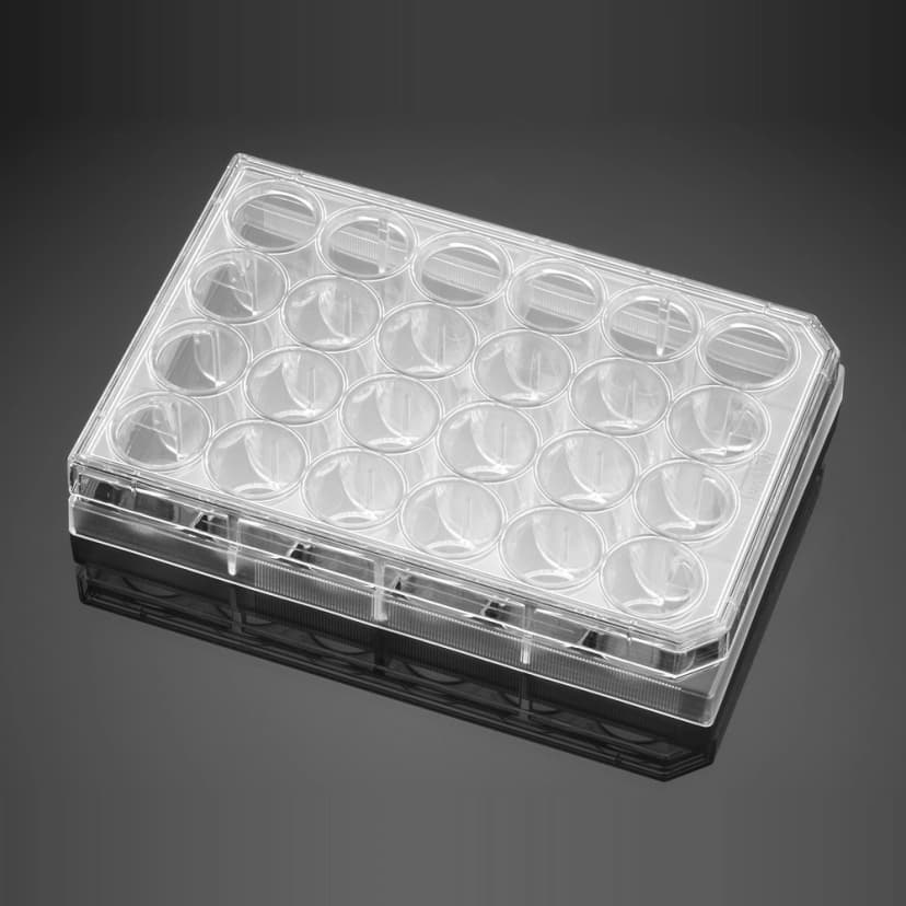 Corning BioCoat Poly-D-Lysine/Laminin 24 Well Clear Flat Bottom TC-Treated Multiwell Plate, with Lid, 1/Pack, 5/Case