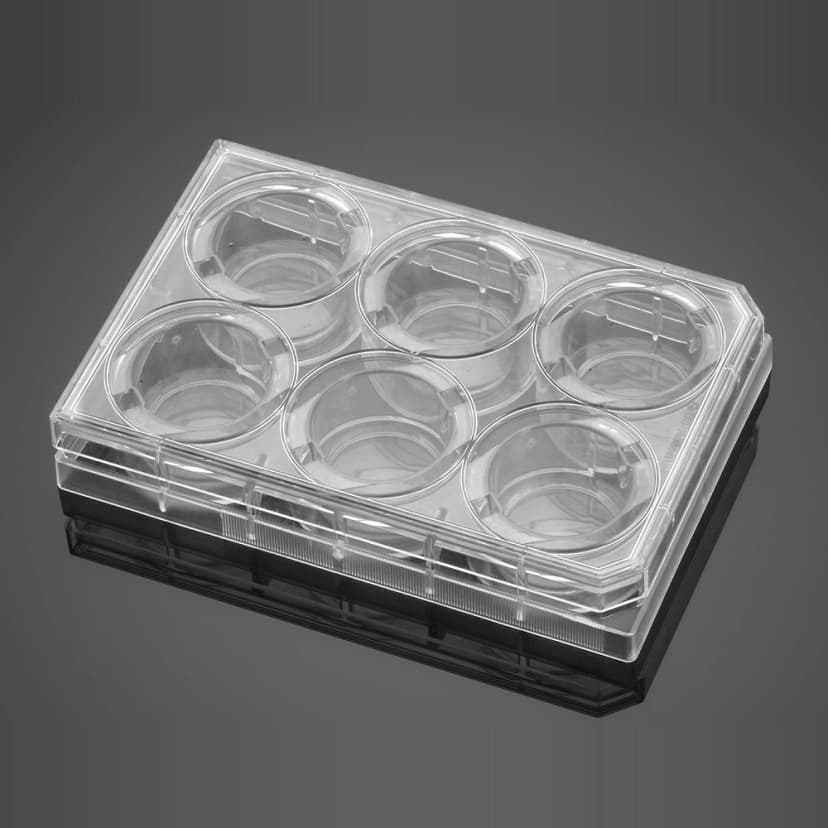 Corning BioCoat Gelatin 6 Well Clear Flat Bottom TC-Treated Multiwell Plate, with Lid, 5/Case