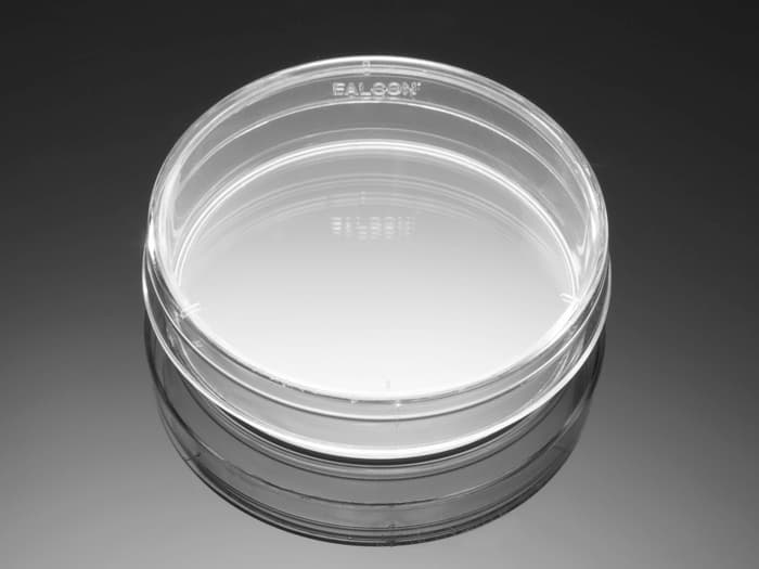 Corning BioCoat Poly-L-Lysine 35mm TC-Treated Culture Dishes, 20/Pack, 20/Case,