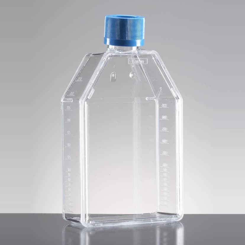 Corning BioCoat Poly-D-Lysine 75cm² Rectangular Canted Neck Cell Culture Flask with Vented Cap