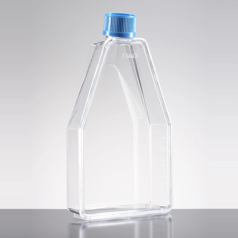 Corning BioCoat Poly-D-Lysine 150cm² Rectangular Canted Neck Cell Culture Flask with Vented Cap