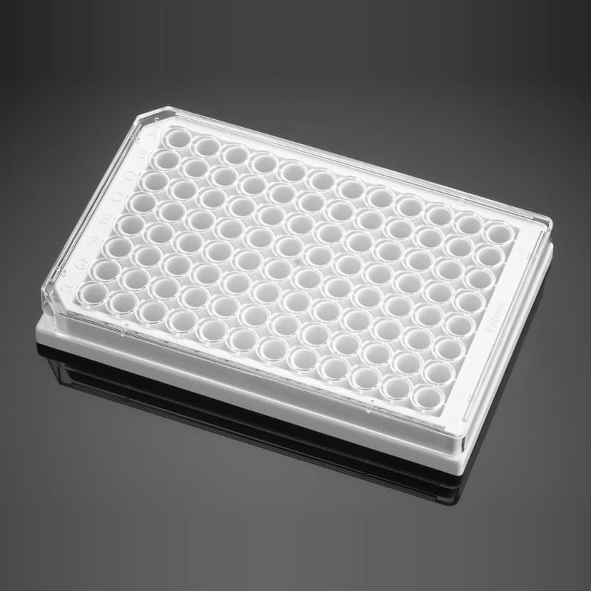 Corning BioCoat Poly-D-Lysine 96 Well White/Clear Flat Bottom TC-Treated Microplate, with Lid, 5/Pack, 50/Case