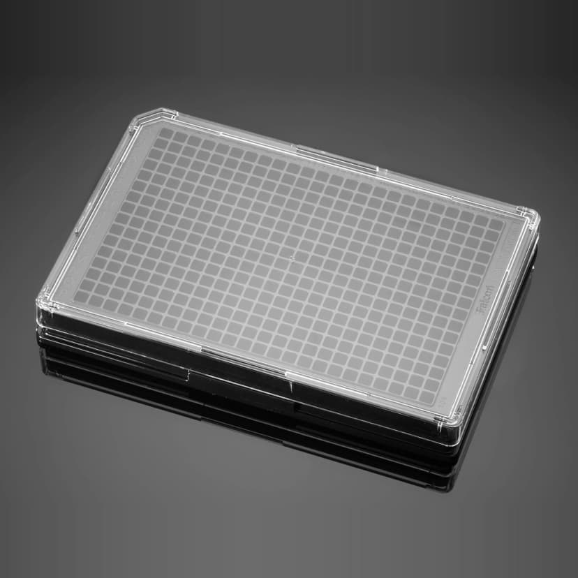 Corning BioCoat Collagen I 384 Well Black/Clear Flat Bottom TC-Treated Microplate, with Lid, 5/Pack, 50/Case