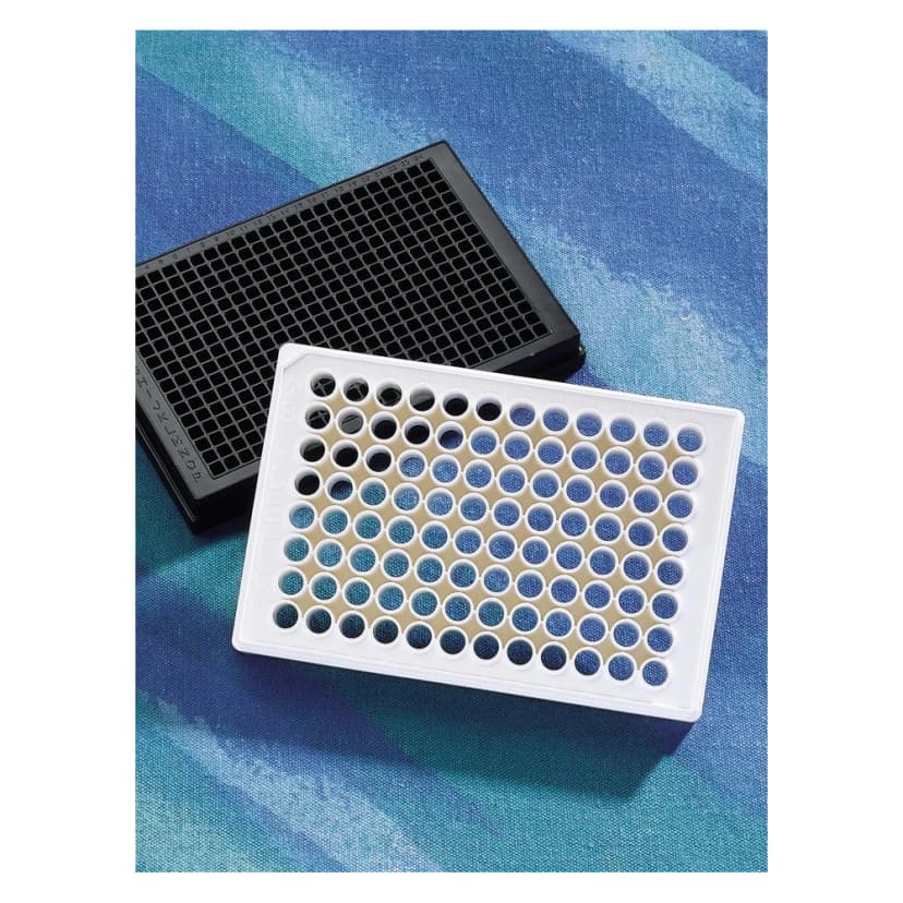 Corning 96 Well Flat Clear Bottom White Polystyrene Poly-D-Lysine Coated Microplates, 20 per Bag, with Lid, Aseptically Manufactured