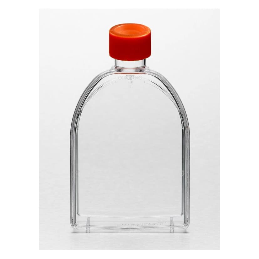 Corning 75cm U-Shaped Canted Neck Cell Culture Flask with Plug Seal Cap