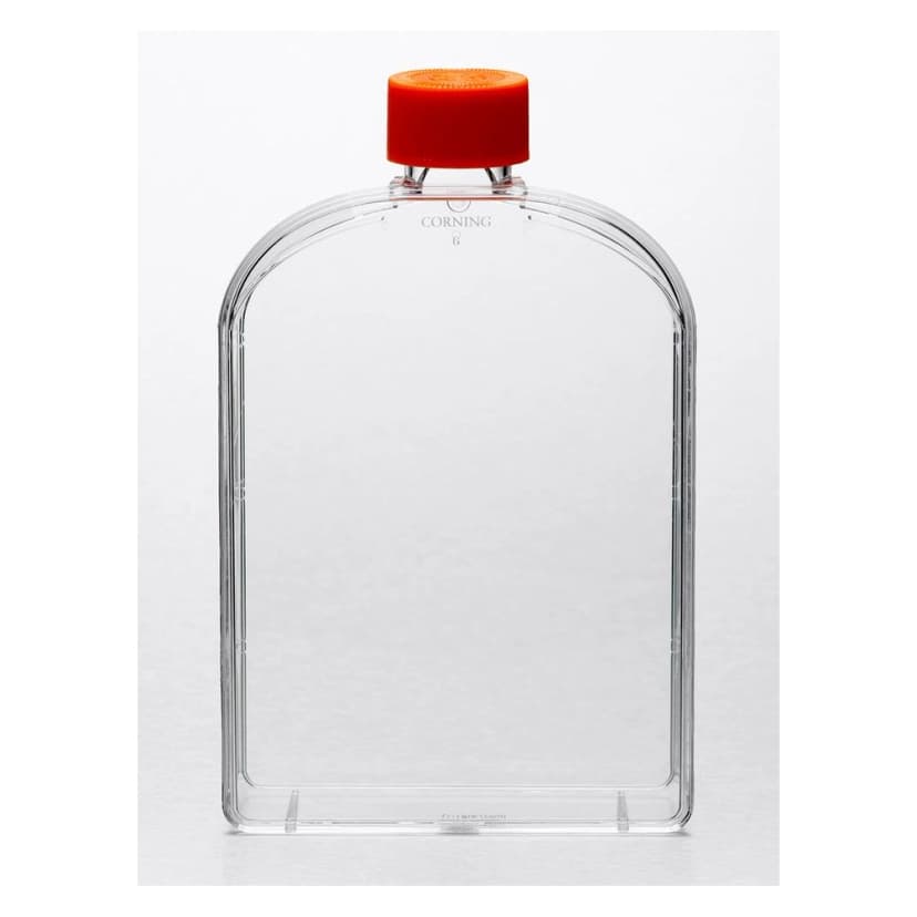 Corning 175cm Angled Neck Cell Culture Flask with Vent Cap
