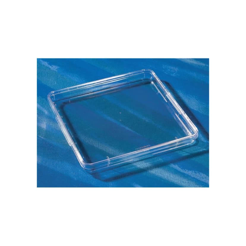 Corning 245mm Square BioAssay Dish without Handles, not Tissue Culture-Treated Culture, Bulk Packaged, 4/Bag, 16/Case
