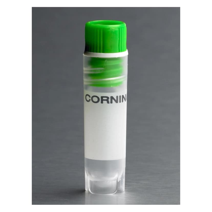 Corning 2mL Green Cap Internal Threaded Polypropylene Cryogenic Vial, Self-Standing with Round Bottom