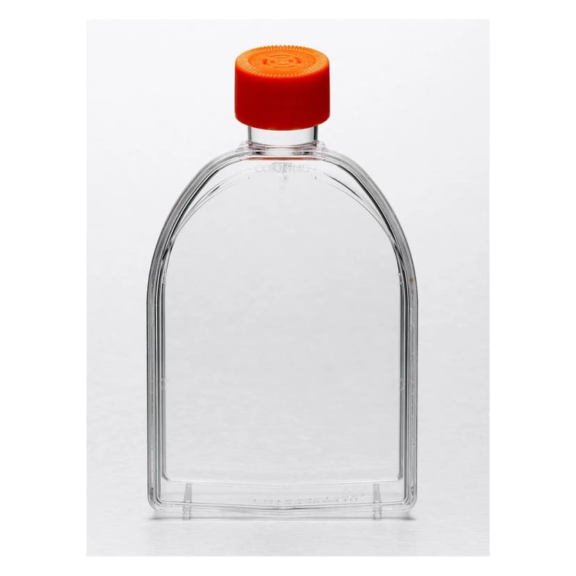 Corning 75cm U-Shaped Canted Neck Not Treated Cell Culture Flask with Vent Cap