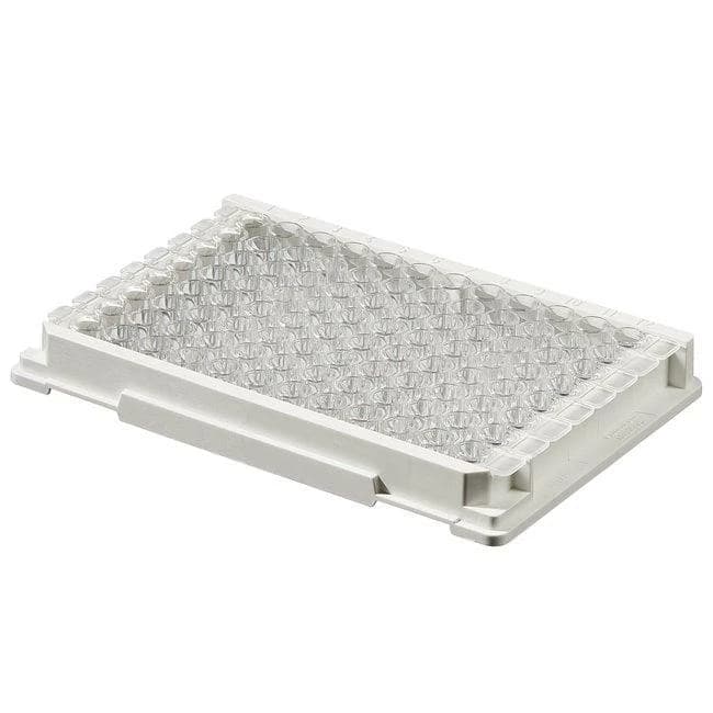 Module Plate FluoroNunc MaxiSorp C8x12 Clr w/Frm NS PS Cert 350 ul Well