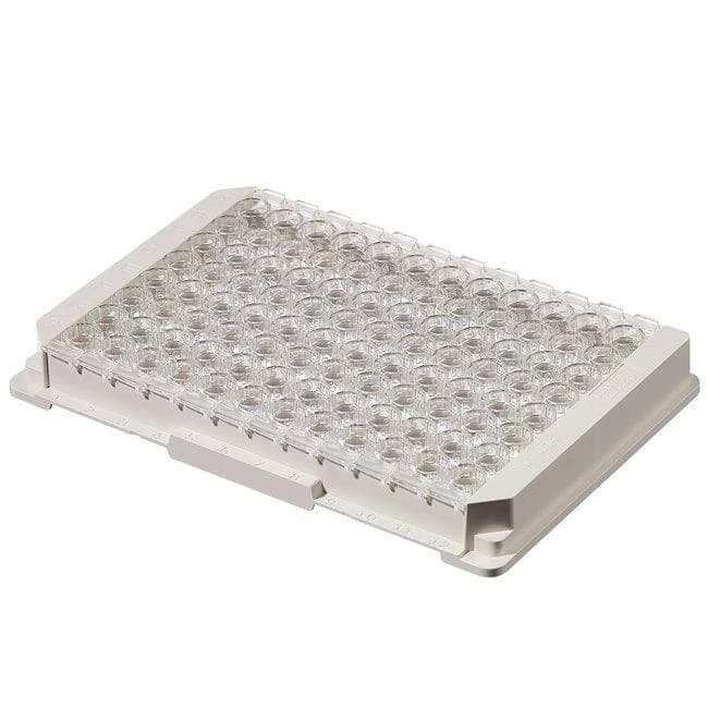 Module Plt Nunc-Immuno LockWell MultiSorp C8x12 w/ABS Frm NS PS 350 ul Well