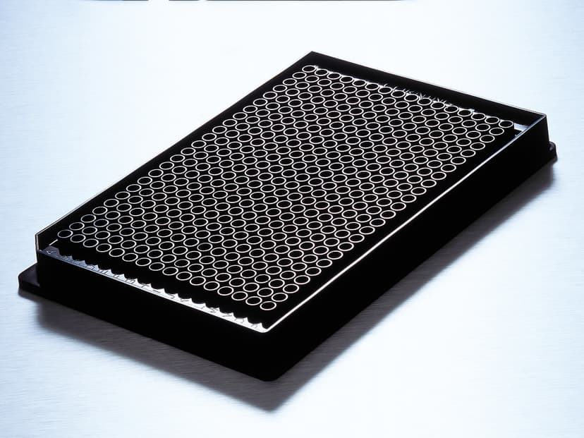 Corning 384 well Clear Flat Bottom CellBIND Treated Polystyrene Microplate, with Lid, Sterile, 100/case