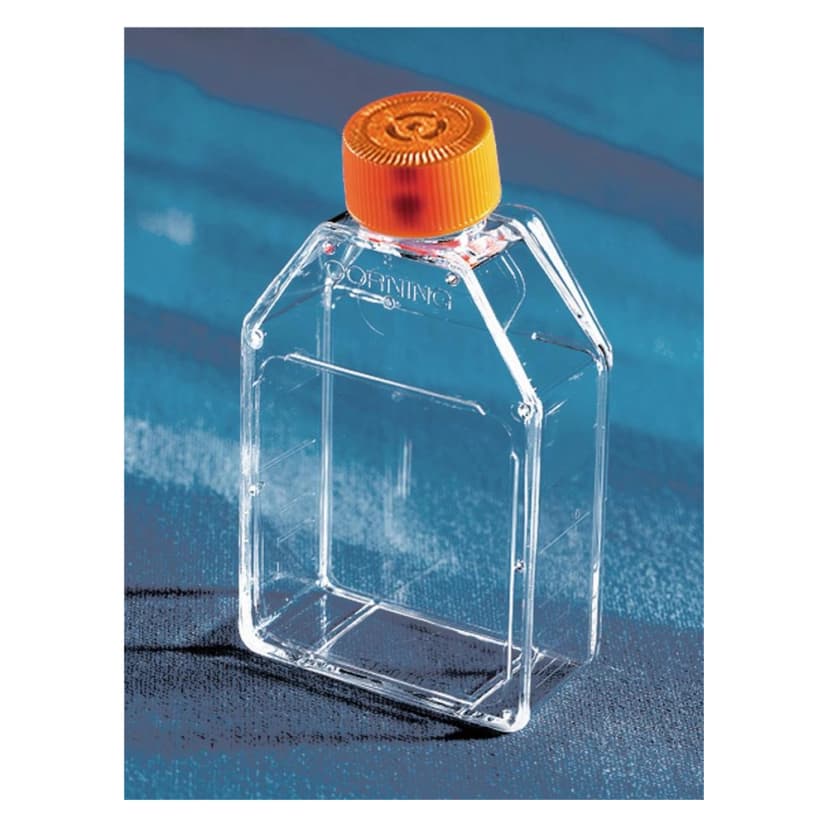 Corning Ultra-Low Attachment 25cm Rectangular Canted Neck Cell Culture Flask with Vent Cap, Sterile, 5/Bag, 25/Case