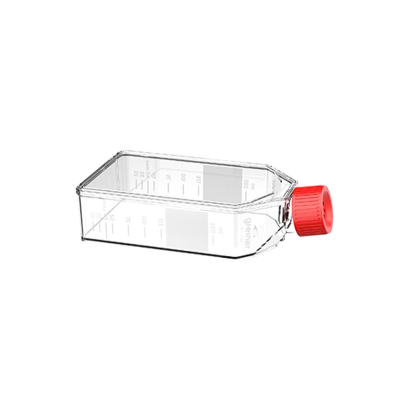 TC-FLASK, 250 ML, 75 CM² POLY-D-LYSINE,