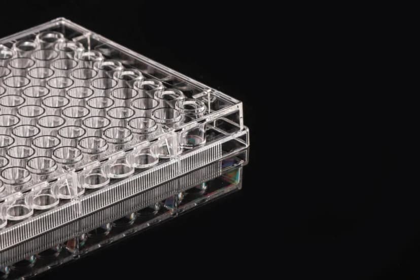 96 Well Cell Culture Plate, flat, TC, sterile 1/pk, 100/cs