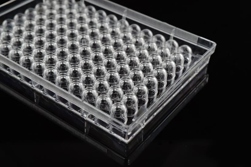 96 Well Cell Culture Plate, U-bottom, Non-Treated, sterile 1/pk, 100/cs