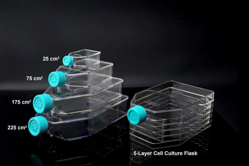 225cm2 Cell Culture Flask, Vent Cap, Non-Treated, sterile 5/pk, 25/cs