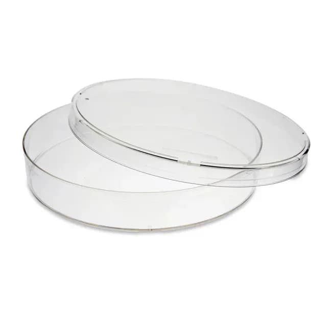 150 x 15 mm Petri Dish, Stackable, sterile, 10/pk, 100/cs