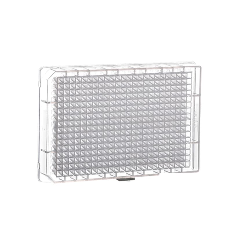 384 DEEP WELL PLATE, PP SMALL VOLUME