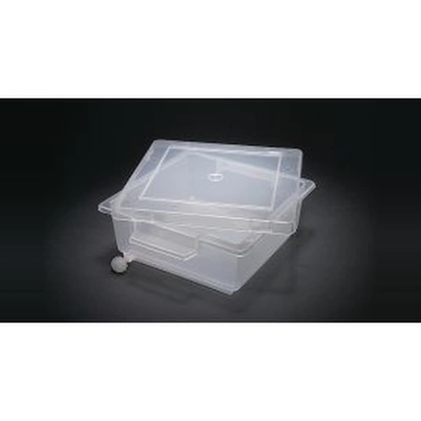 GEL STAINING TRAY