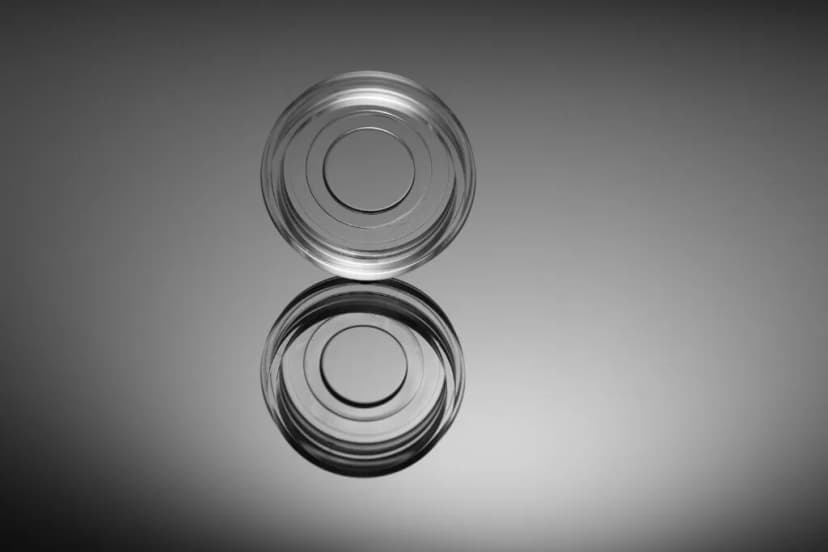 Glass Bottom Cell Culture Dish,Φ 15mm,TC, sterile 10/pk, 200/cs