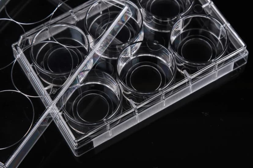 6 Well Glass Bottom Cell Culture Plate,Î¦ 20mm,TC, sterile 1/pk, 10/cs