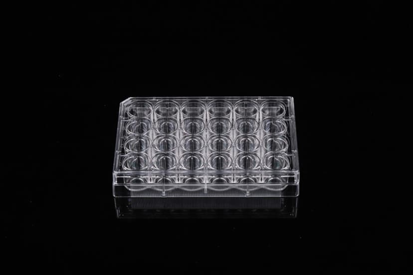 24 Well Glass Bottom Cell Culture Plate,Î¦ 10mm,TC, sterile 1/pk, 10/cs