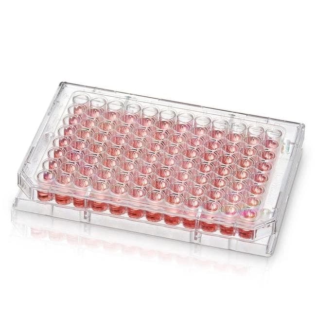 96 Well Plt UV Transparent Flt Btm