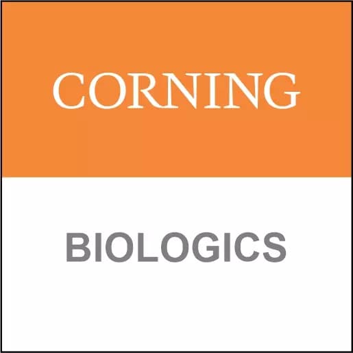 Corning Epidermal Growth Factor (EGF), Mouse Natural (Receptor Grade), 100µg, 1/Pack