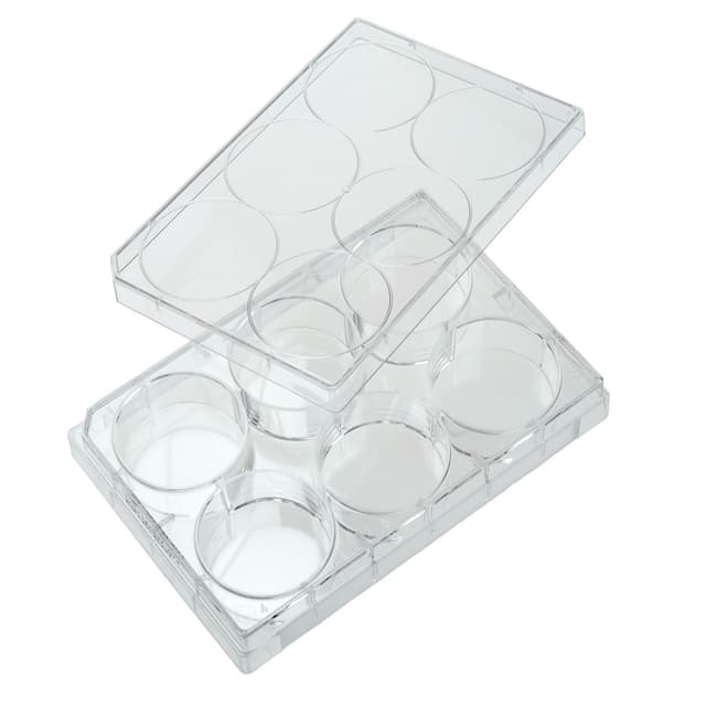 Multiple Well Plates  TCT