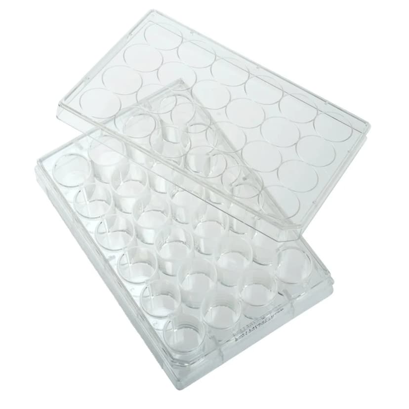 Multiple Well Plates TCT