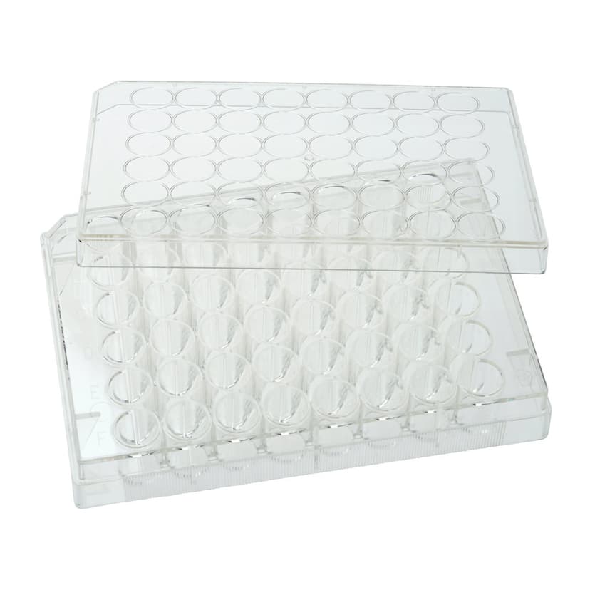 Multiple Well Plates Non-treated