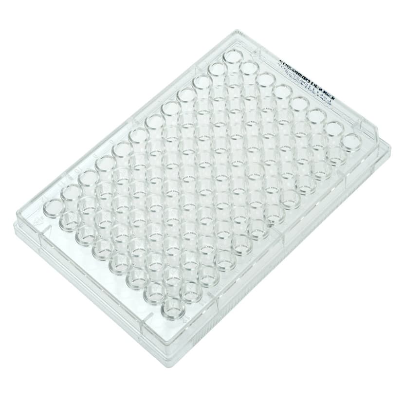 Multiple Well Plates Non-treated