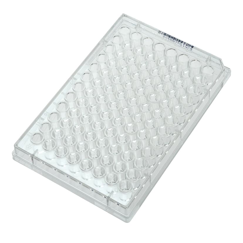 Multiple Well Plates Non-treated