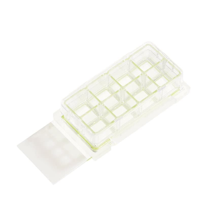 8 Chamber Cell Culture Slide, Glass, Sterile