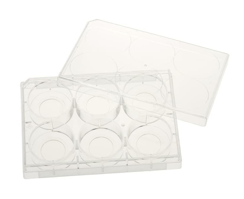 Multiple Well Plates TCT, Glass Bottom