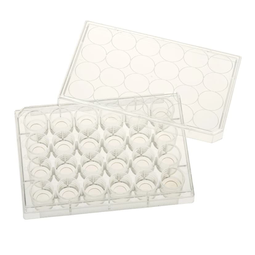 Multiple Well Plates TCT, Glass Bottom