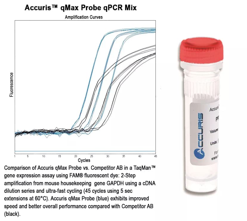Accuris qMax Probe, Low Rox qPCR Mix, 100 reactions