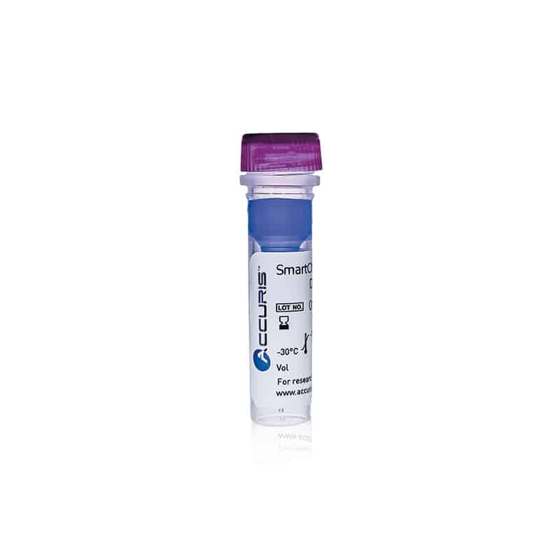Accuris SmartCheck™ 100bp DNA Ladder, 500ul / 100 lanes
