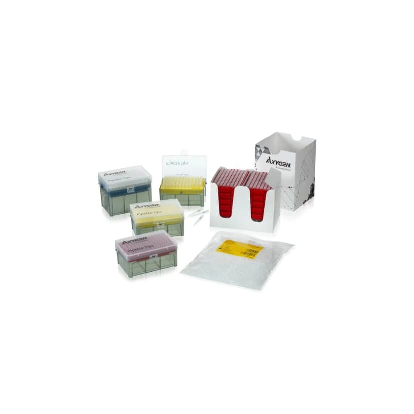 Axygen 200µL Maxymum Recovery Universal Fit Pipet Tip, Bevelled, Clear, Non-Sterile, Stacked Rack
