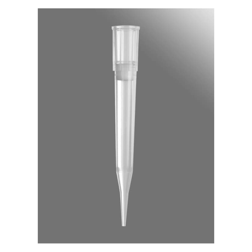 Axygen 300µL Universal Fit Filter Tips, Clear, Non-Sterile, Bulk Pack, 1000 Tips/Pack, 10 Packs/Case.