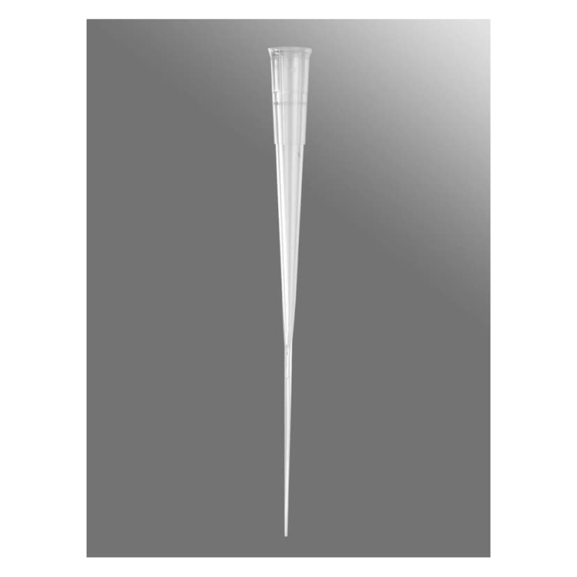 Axygen 200µL Gel Loading Pipet Tip, Round, Clear, Non-Sterile, Rack Pack, 200 Tips/Rack, 2 Racks/Case.