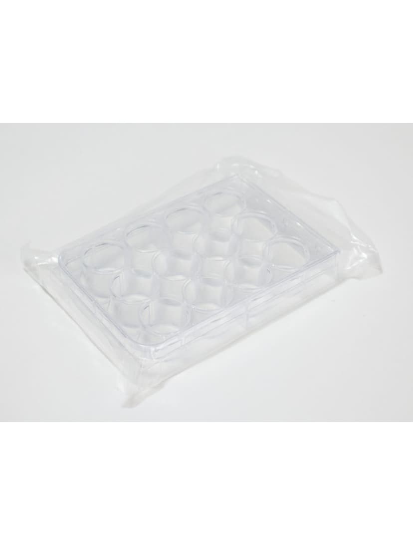 WELL PLATE, CLEAR PLASTIC, 96 WELLS