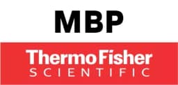 MBP