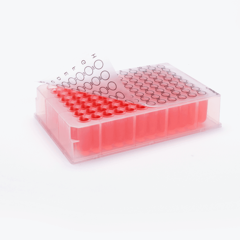 X-Pierce, Sterile